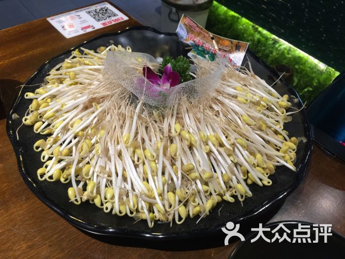 雄帝和重庆美蛙鱼头火锅(新大陆店)黄豆芽图片 - 第914张