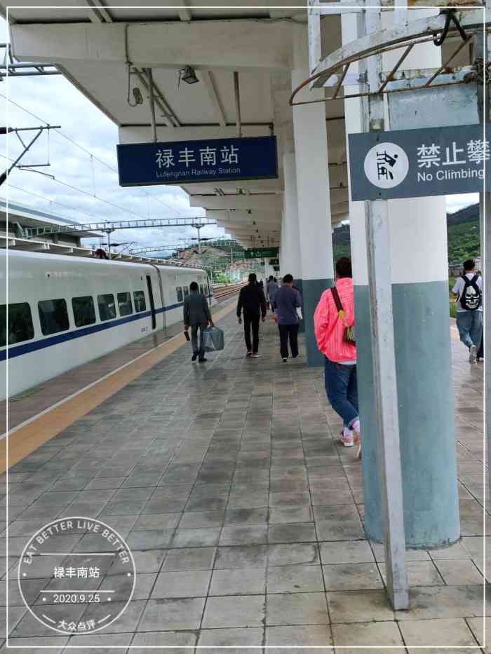 禄丰南站-"没下车,路过此地此景每到一站都想去逛逛.