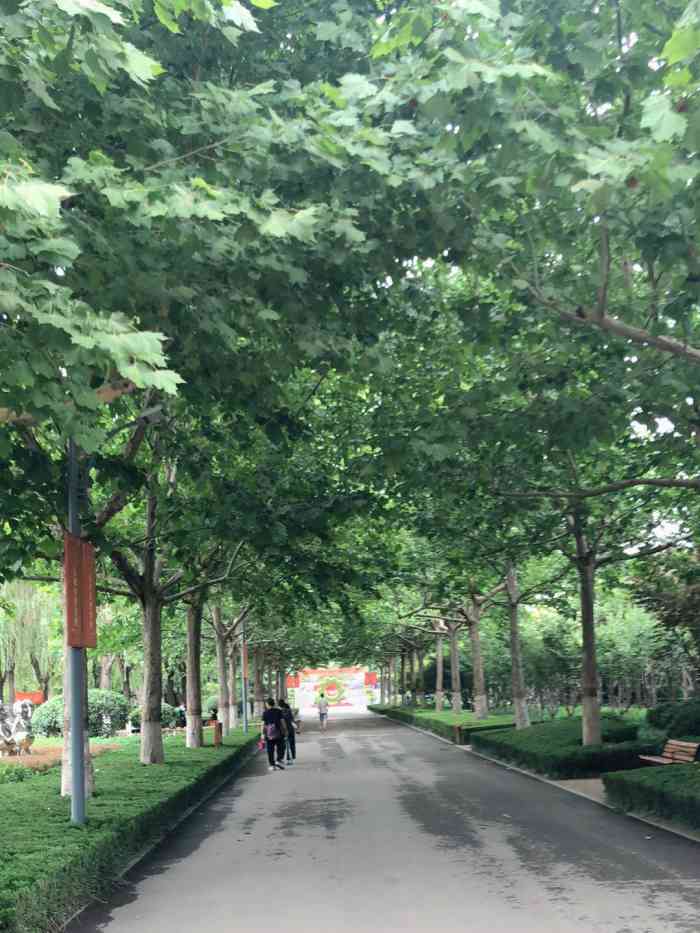 花圃公园-"花圃公园,就是以前的段店苗圃,后来经过改.