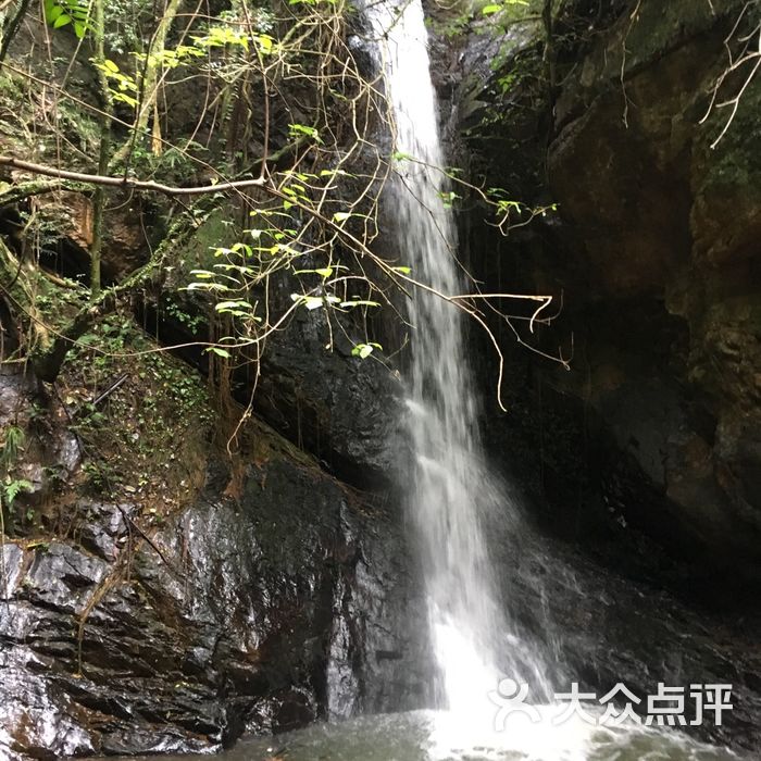 丫山卧龙谷