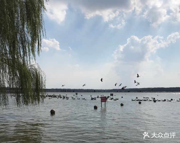 明珠湖公园图片 - 第240张