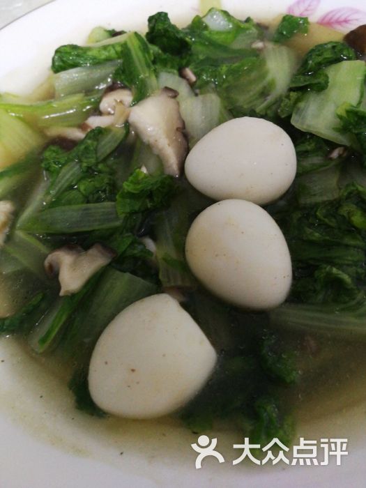 青春献给小酒桌