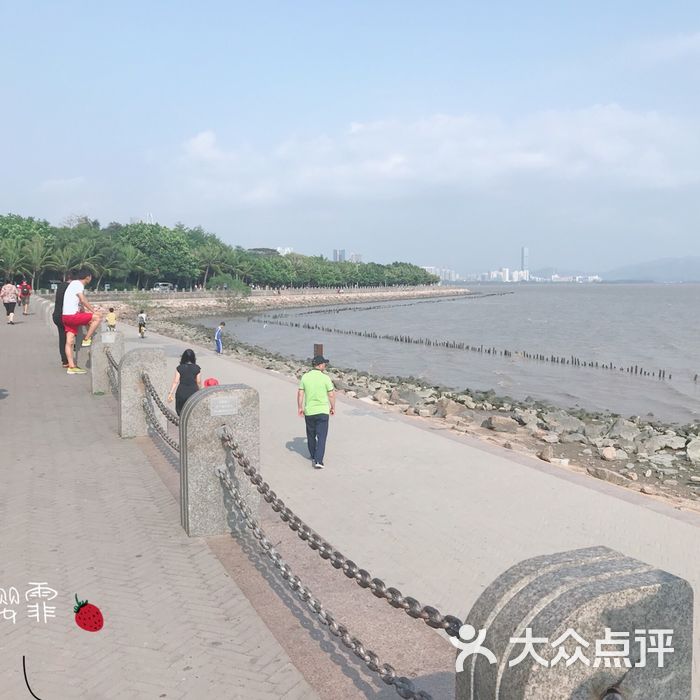 深圳湾公园