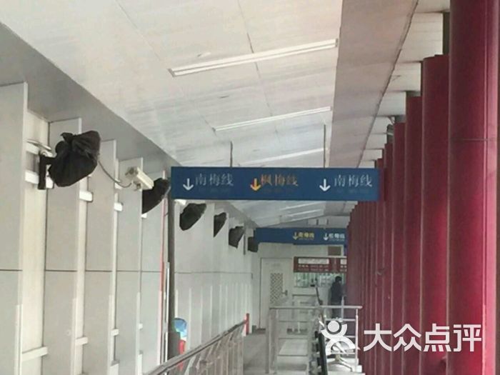 公交车(枫梅线)-图片-上海生活服务