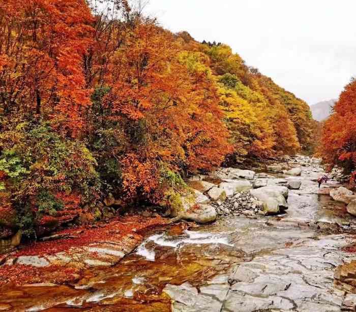 光雾山旅游景区