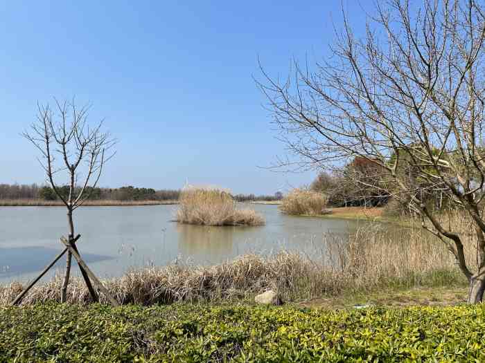 观海楼餐厅-"东滩湿地公园里也就这一家饭店,所以说.