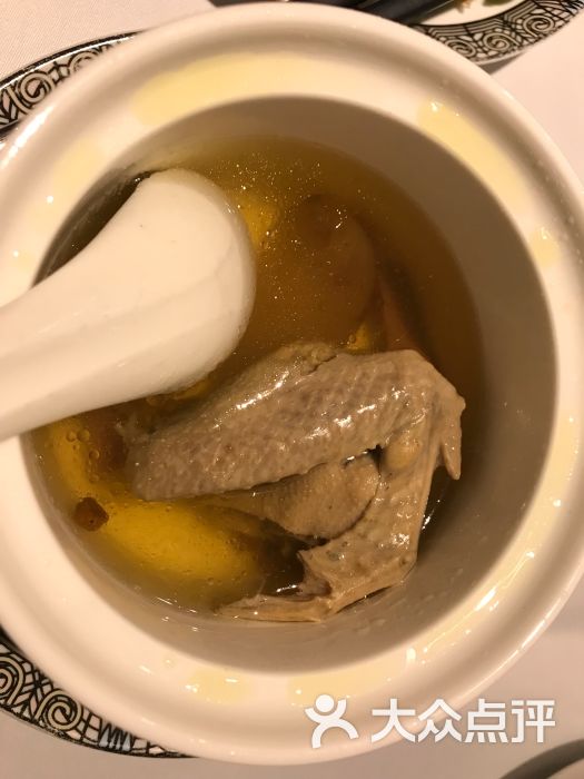 懂经爷叔鸽子汤图片 - 第1209张
