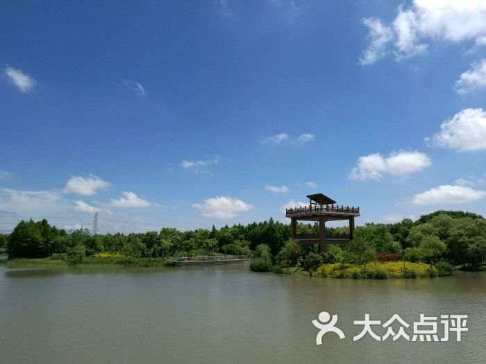 康桥生态园沔西绿地景点图片 - 第12张