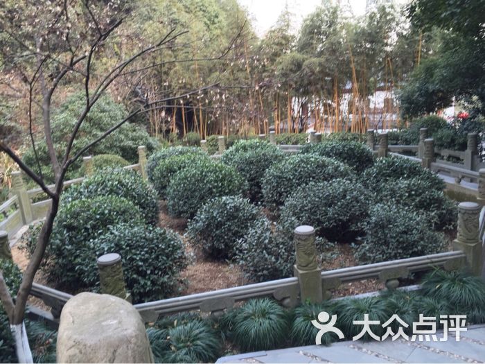 老龙井御茶园(老龙井店)