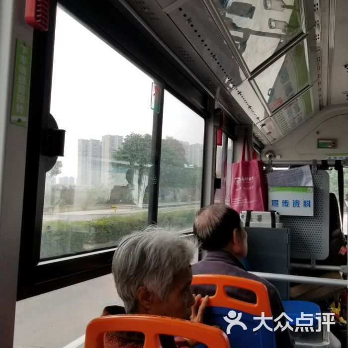 顺德公交车906线