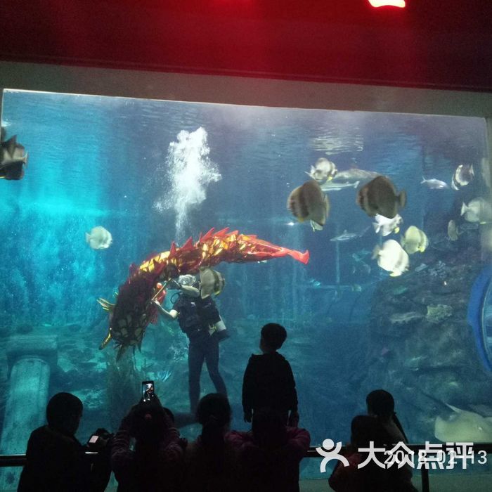 太平洋海底世界博览馆