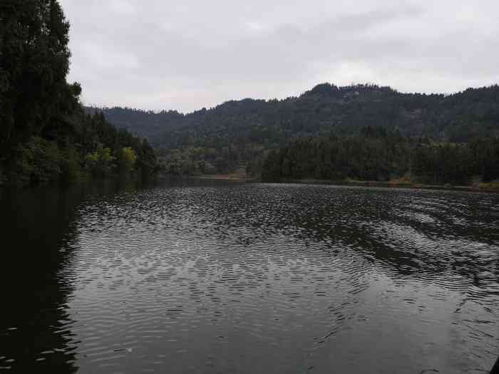 望龙湖森林公园-"望龙湖森林公园位于南充市营山县,有