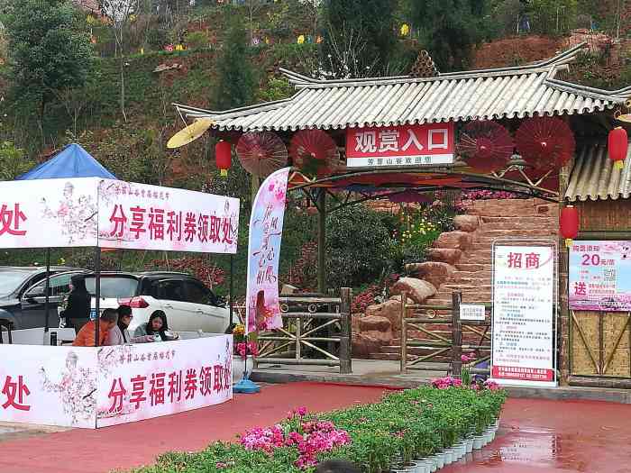 阳光森林农场-"最近是葡萄成熟季,所以采摘葡萄成了周