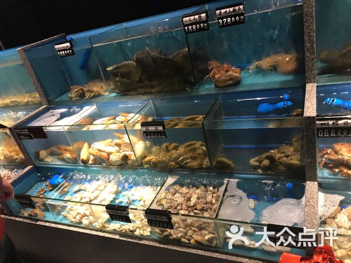 维京海鲜全球汇(apm店)海鲜池图片 - 第4张