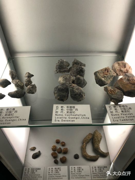 中国地质博物馆本溪馆景点图片 - 第8张