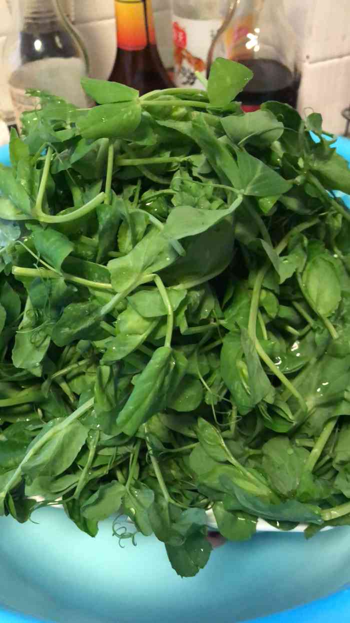 菜老包(太平农贸店)-"由于今天不想出门,就想死宅在家