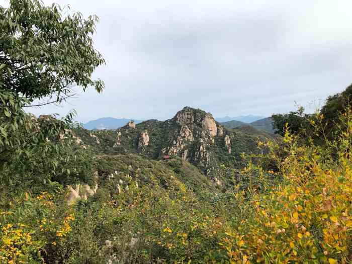 大岭沟猕猴桃谷风景区