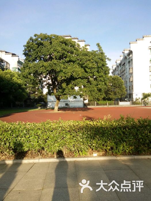 鹿鸣小学-图片-衢州学习培训-大众点评网