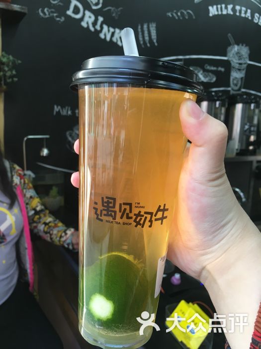遇见奶牛图片 第1张