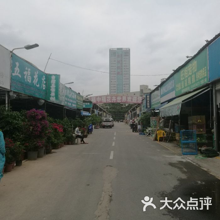 福中福花卉世界图片-北京花店-大众点评网