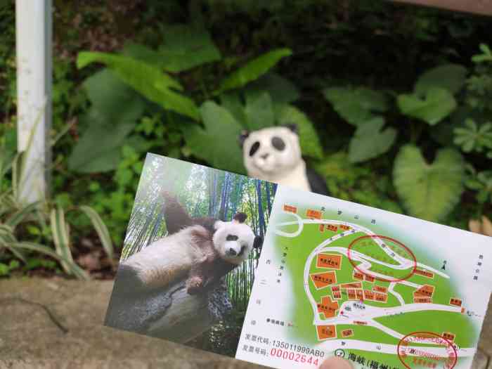 海峡福州熊猫世界