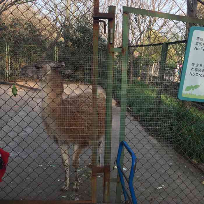 合肥野生动物园-"就在大蜀山旁边,挺多人来玩的.门票