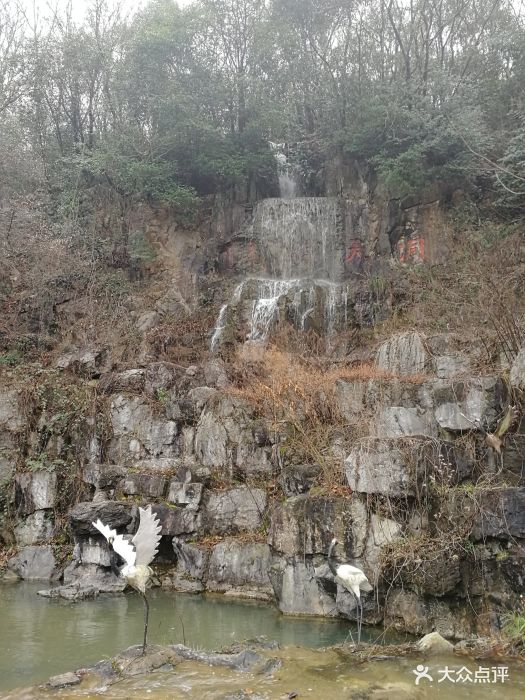 高铁站出来有景区的免费旅游循环大巴可以坐