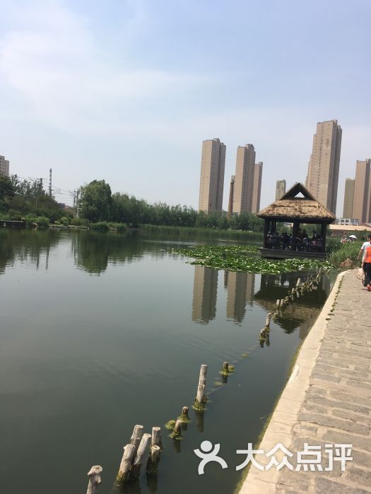 前关湿地公园图片 第157张