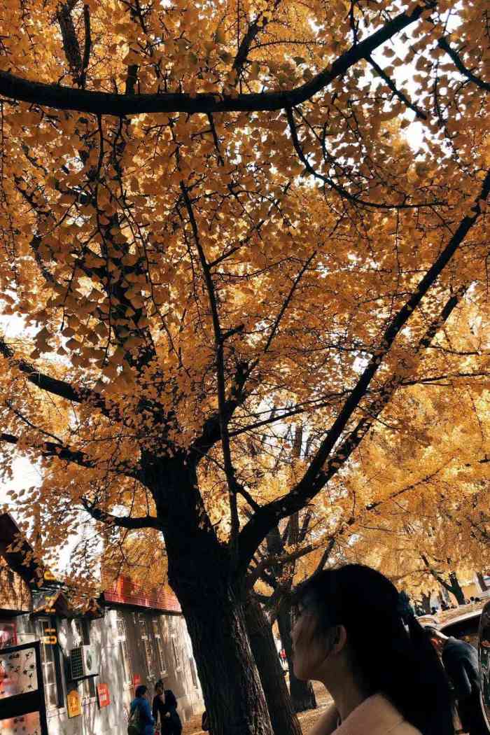 旅顺太阳沟景区-"旅顺太阳沟是大连著名的历史文化,.