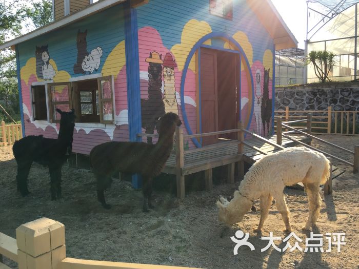猪哈哈的农场-图片-屯昌县周边游-大众点评网