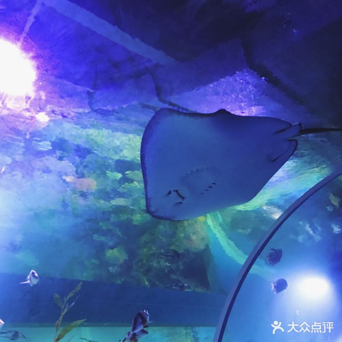 金博海洋馆-图片-温州亲子-大众点评网