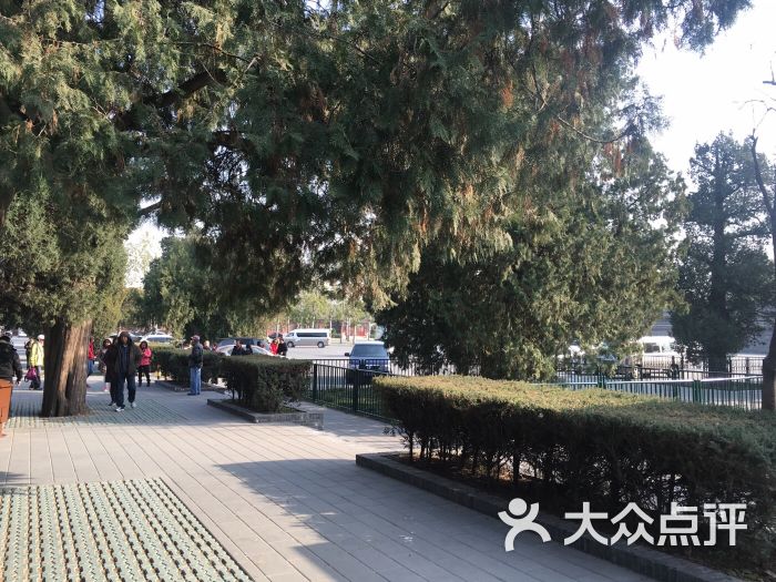 天坛公园东门停车场-图片-北京爱车