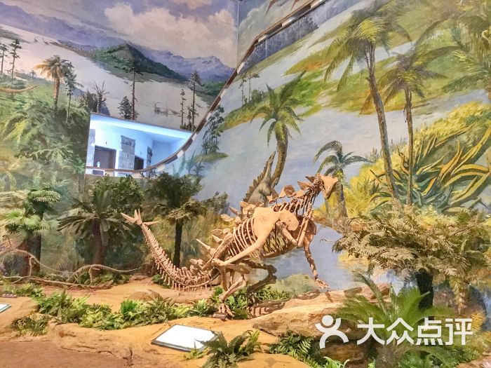 自贡恐龙博物馆图片 第133张