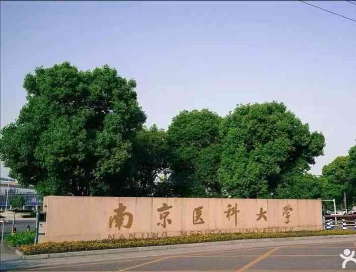 南京医科大学(江宁校区)-"南京医科大学江宁校区在站