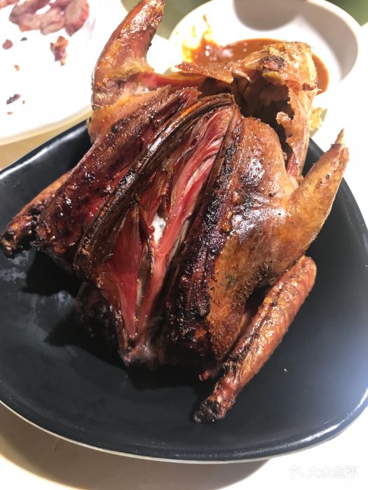吊炉鸽子