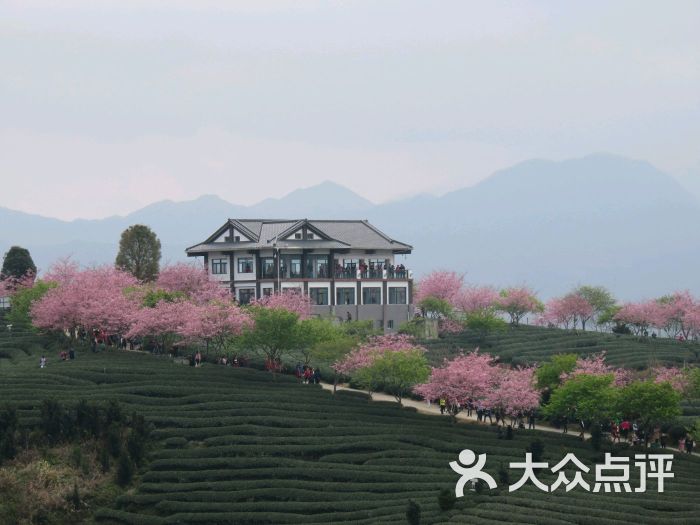 永福樱花园图片 - 第2张