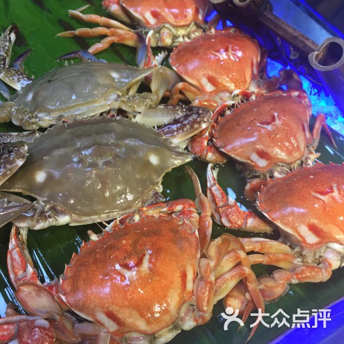 五月罗马海鲜自助餐厅-招财蟹-菜-招财蟹图片-昆山美食-大众点评网