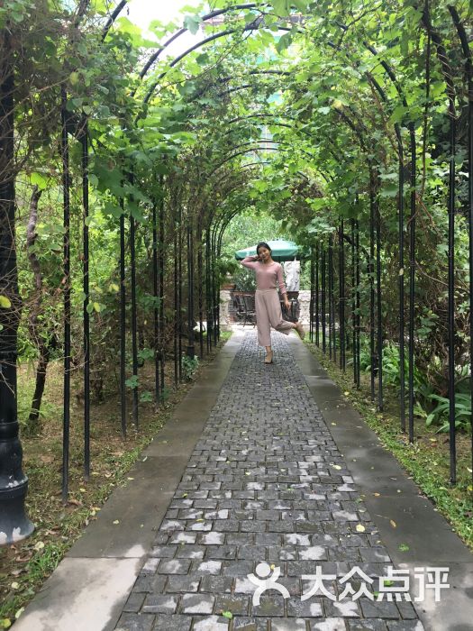 易谷河南文化艺术网商园-图片-郑州生活服务