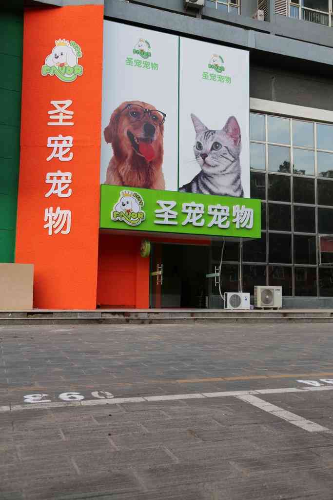北京圣宠宠物十年的宠物店实际操作经验,90%以上客户最需要什么样