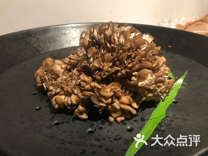 日本有机舞菇