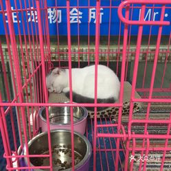 温暖先生宠物会所(洛溪店)