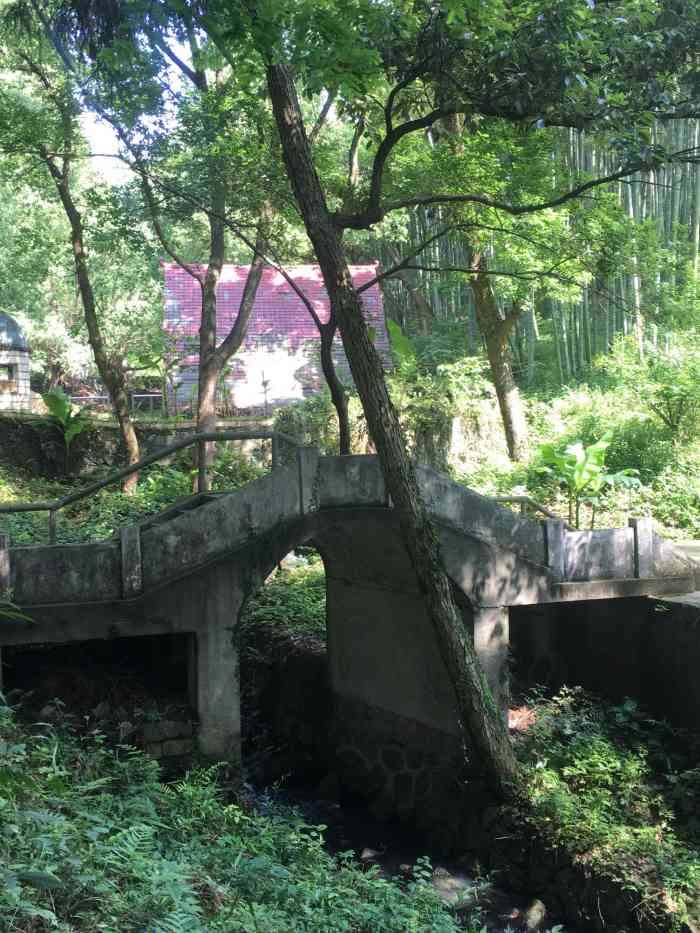 东明山森林公园"因为本来就是山里长大的孩子,所以对这些自.