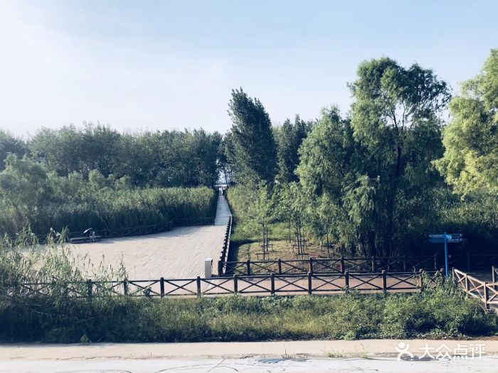 鱼嘴湿地公园-图片-南京周边游-大众点评网