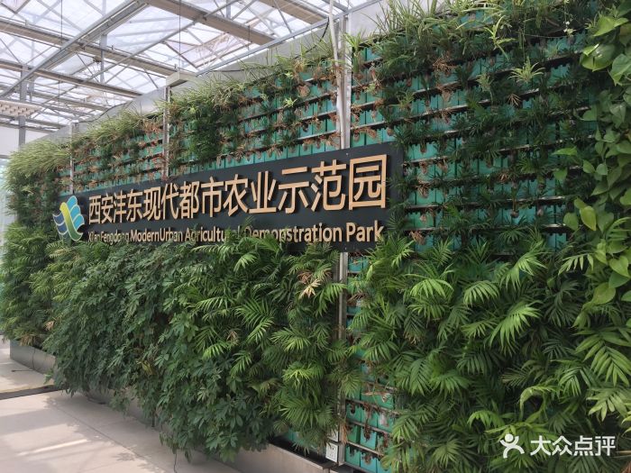 西安沣东现代都市农业博览园图片 - 第27张
