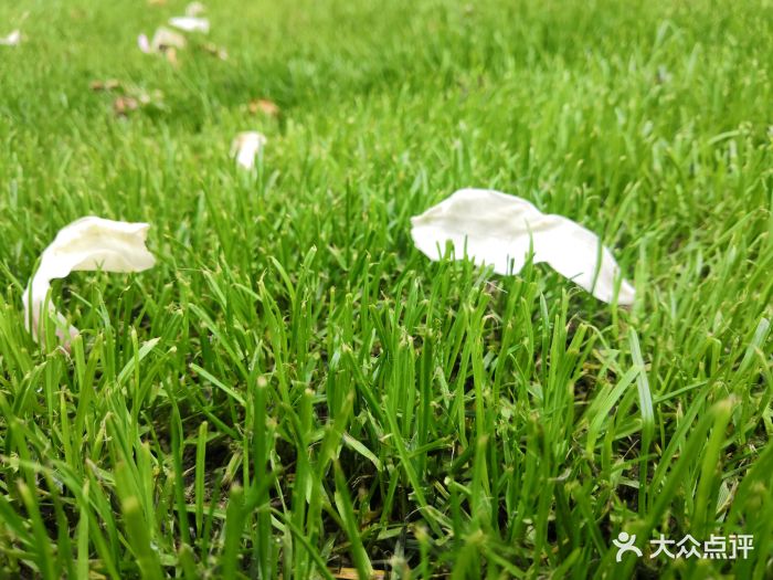 2019食分爱参加社区活动,多写优质点评!.-晓