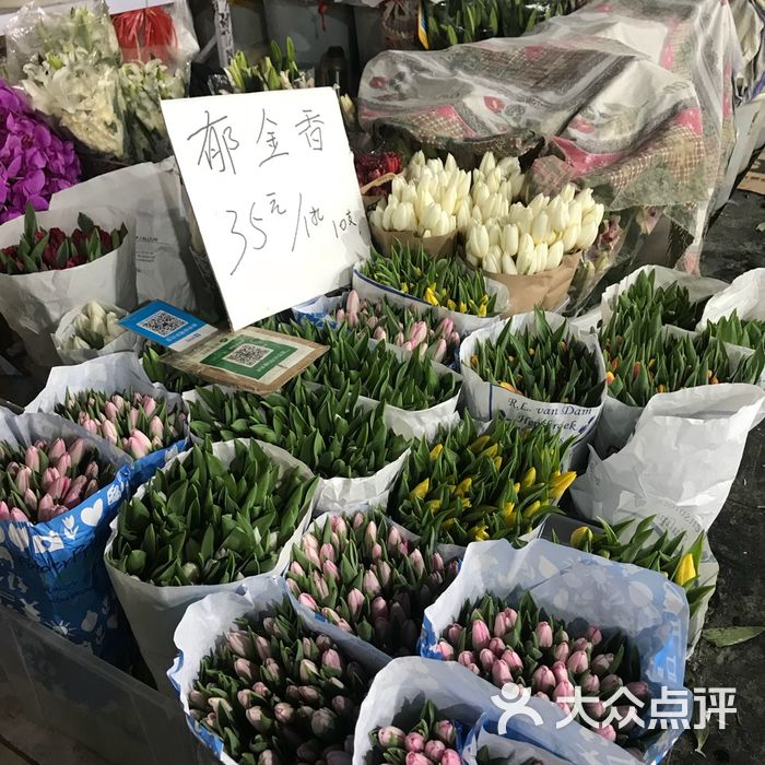 东风国际花卉市场图片-北京花店-大众点评网