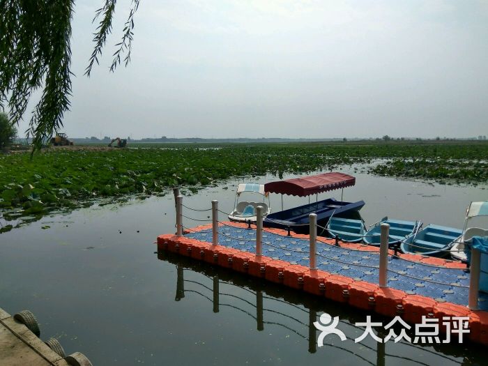 珍珠湖湿地自然保护区-图片-新民市周边游-大众点评网