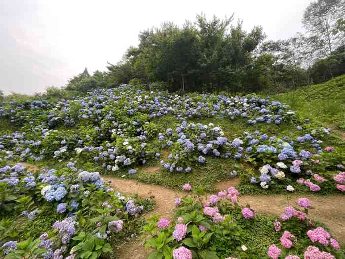 鹿野花塔