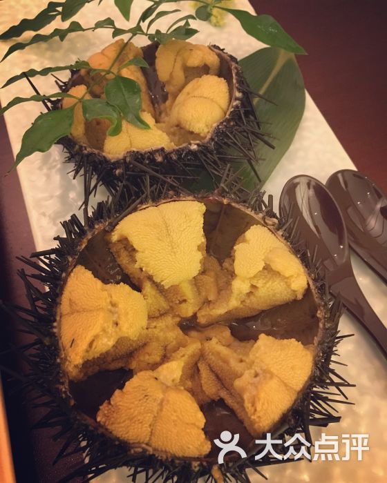 日本板海胆