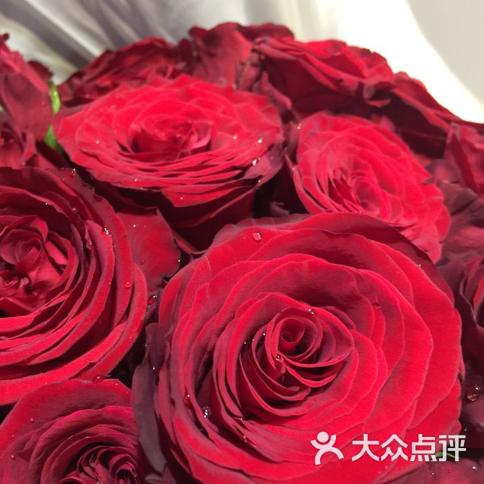 星缘·方德波尔格玫瑰专营店图片-北京花店-大众点评网